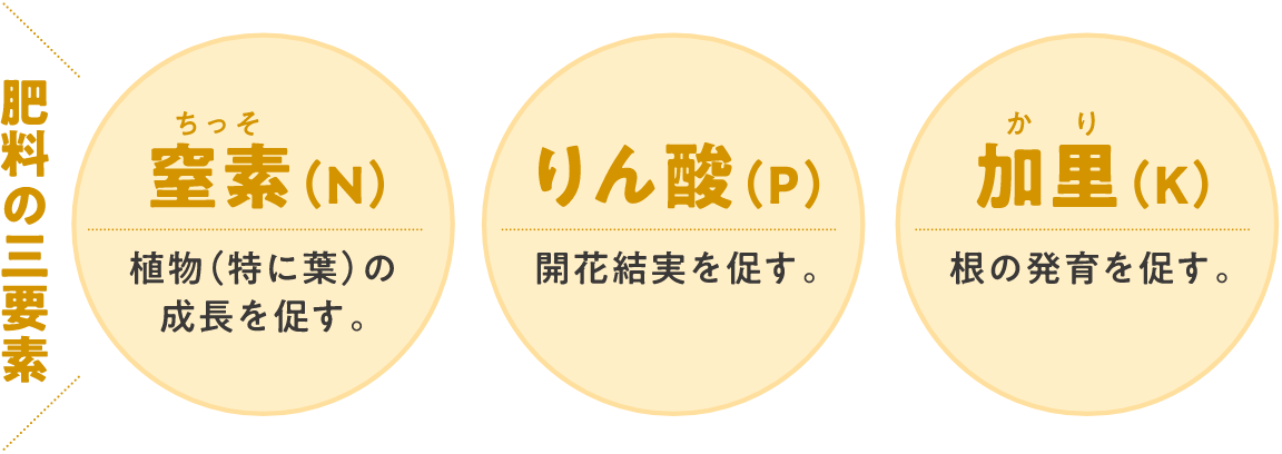 肥料の三要素 窒素・りん酸・加里